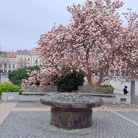 Szell 3 Apartman Apartment Сомбатели Екстериор снимка